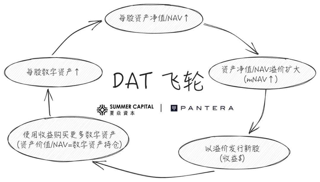 解构 DAT:超越 mNAV,如何识别“真假囤币”?缩略图 解构 DAT:超越 mNAV,如何识别“真假囤币”?缩略图